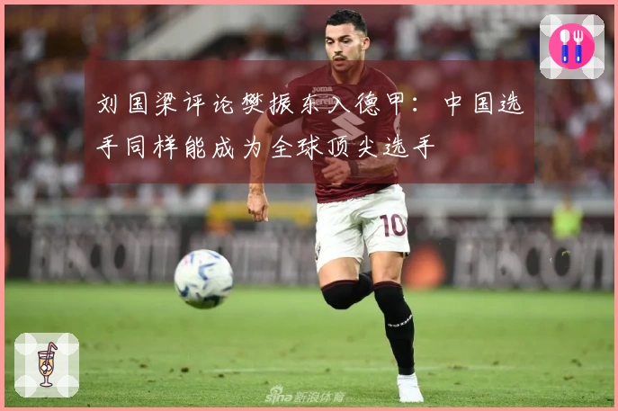 刘国梁评论樊振东入德甲：中国选手同样能成为全球顶尖选手