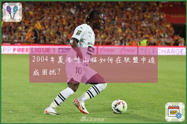 2004年夏洛特山猫如何在联盟中造成困扰？