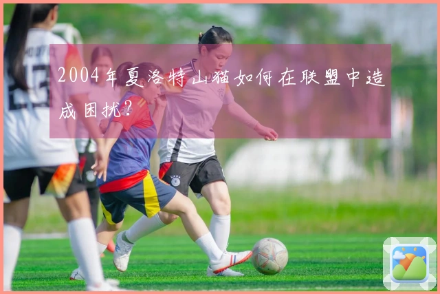 2004年夏洛特山猫如何在联盟中造成困扰？